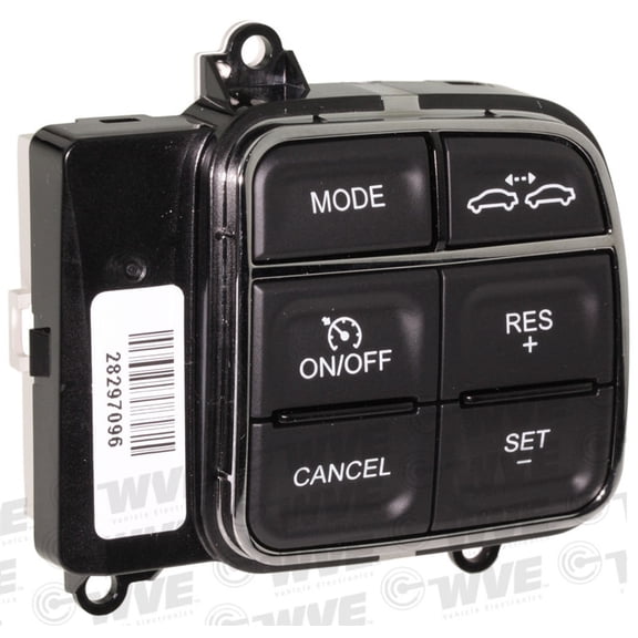 Cruise Control Switch