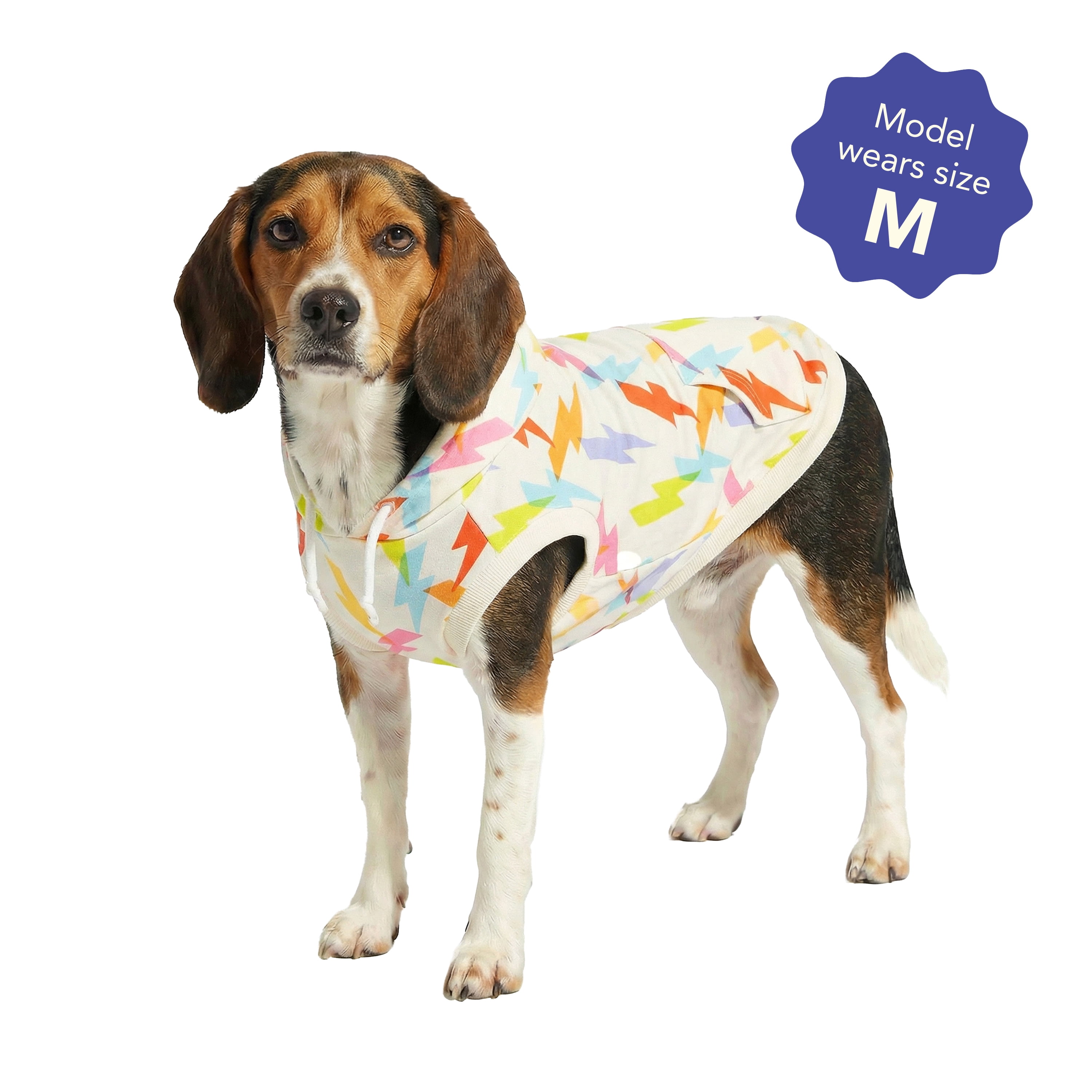 Oodles Multi-Colored Liminal Lightning Bolt Spring Dog Hoodie, Medium