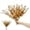 Glod, variant on MAMOWEAR 20 PCS Artificial Eucalyptus Stems Faux Eucalyptus Fake Leaf Stem Fall Decor Plants for Party Wedding Flower Arrangement Home Farmhouse Home Christmas Fireplace Décor(White)