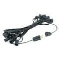 thumbnail image 3 of Novelty Lights 25 Feet Clear G30 Globe Outdoor Patio String Lights, Black Wire, 3 of 7