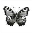 thumbnail image 3 of Black and White Duvet Cover Set, Vanessa Peacock Butterfly Vintage Style Wildlife Theme Nature Art, Decorative 2 Piece Bedding Set with 1 Pillow Shams, Twin Size, Black White, by Ambesonne, 3 of 3