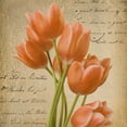 thumbnail image 2 of Greene, Taylor 15x15 Gold Ornate Wood Framed with Double Matting Museum Art Print Titled - ORANGE TULIP I ON GOLD, 2 of 4