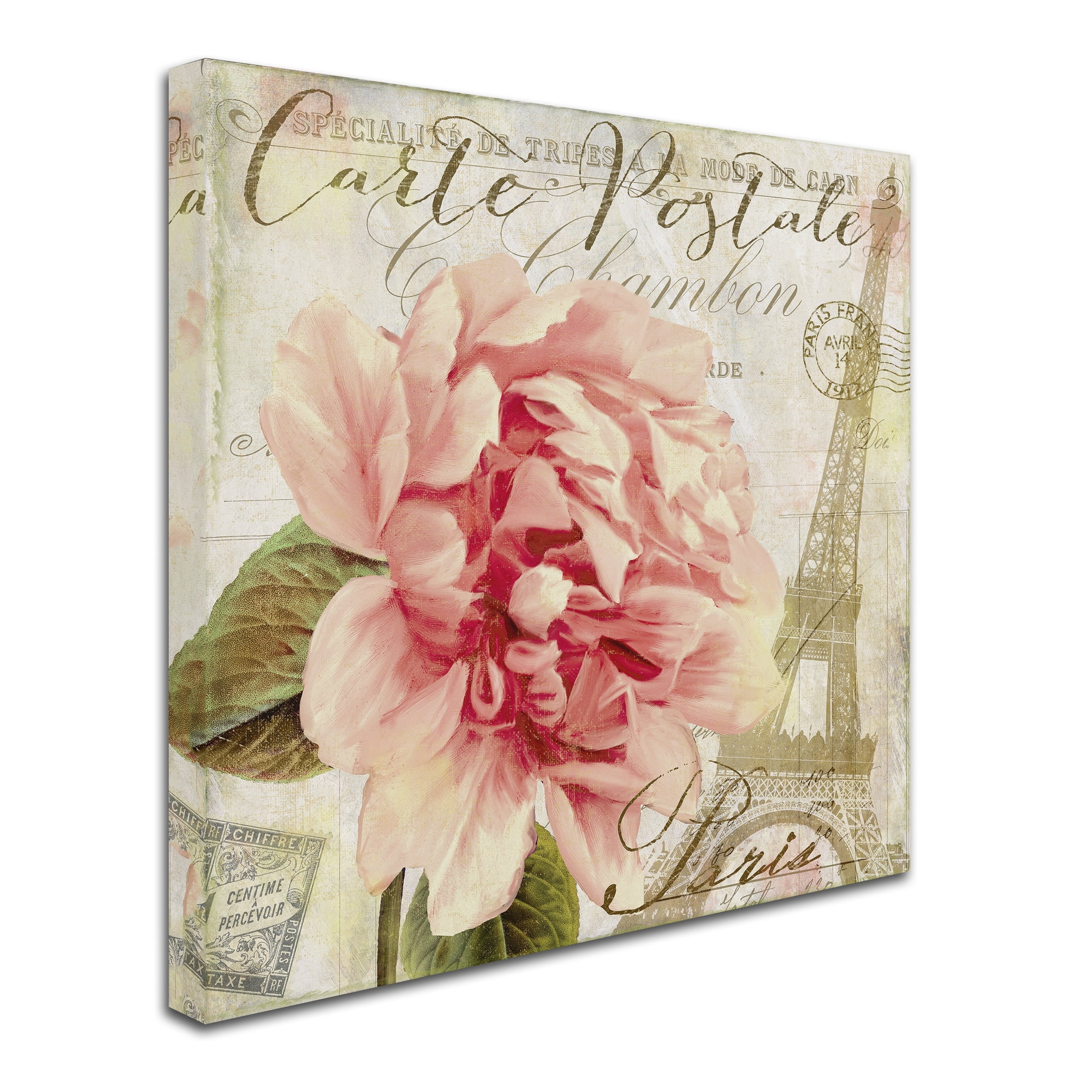 Trademark Fine Art Floral Canvas Art ' Bonjour One ' by Color Bakery