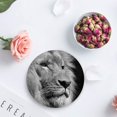 thumbnail image 4 of FMSHPON lion Set of 4 Round Coaster for Drinks, Absorbent Ceramic Stone Coasters Cup Mat with Cork Base for Home Kitchen Room Coffee Table Bar Decor, 4 of 5