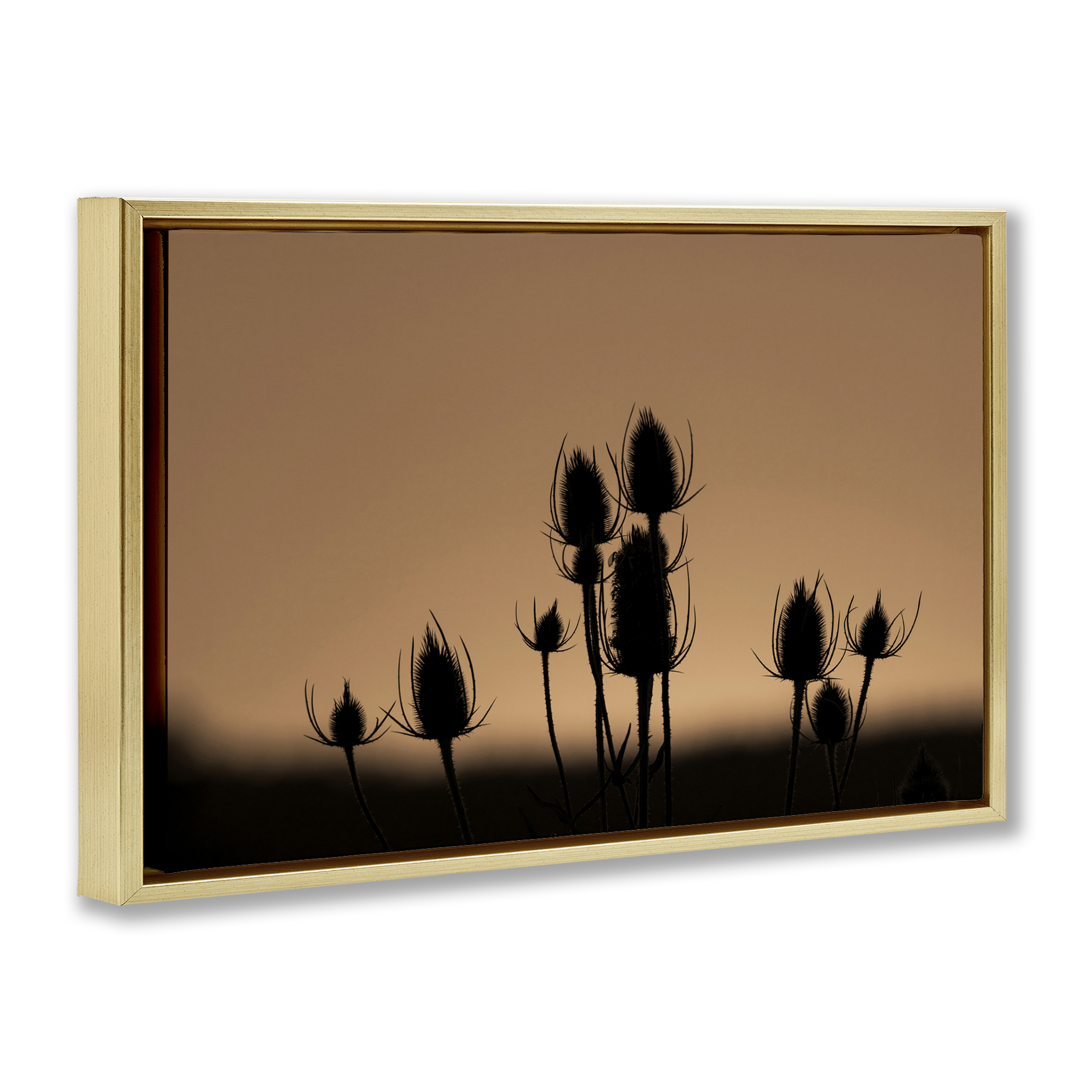 Stupell Industries Botanical Sprigs Silhouettes Plants & Flowers Photography Gold Floater Framed Canvas Art Print Wall Art, 25 x 17