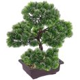 thumbnail image 3 of Árbol de bonsái artificial YONGSHENG planta de pino en maceta 29 x 10 x 33 cm, 3 of 5