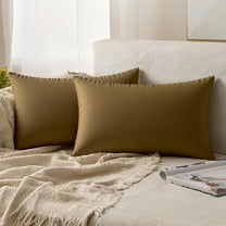 REGALWOVEN Pack of 2 Velvet Decorative Throw Pillow Covers Modern Cushion Covers with Zipper Brown 12" x 20"