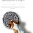 thumbnail image 4 of Pet Parents® Forager® Bowl, Slow Feeder Dog Bowl with SoftSnout® Material & Snuffle Mat (Forest Modern Grey), 4 of 9