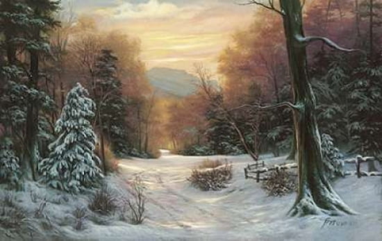 Snow Covered Mornin