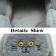 thumbnail image 2 of Zapatillas de gato abrazo de peluche para mujer y hombre, toboganes de invierno para el hogar, zapatos de suelo Kawaii, zapatillas peludas, mulas blancas para niña, 2 of 5