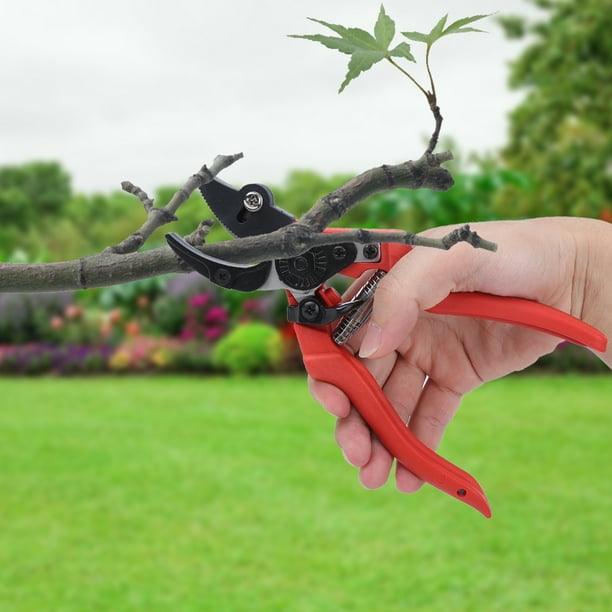 Sturdy And Durable Pruning Shears Fruits Shears For Picking