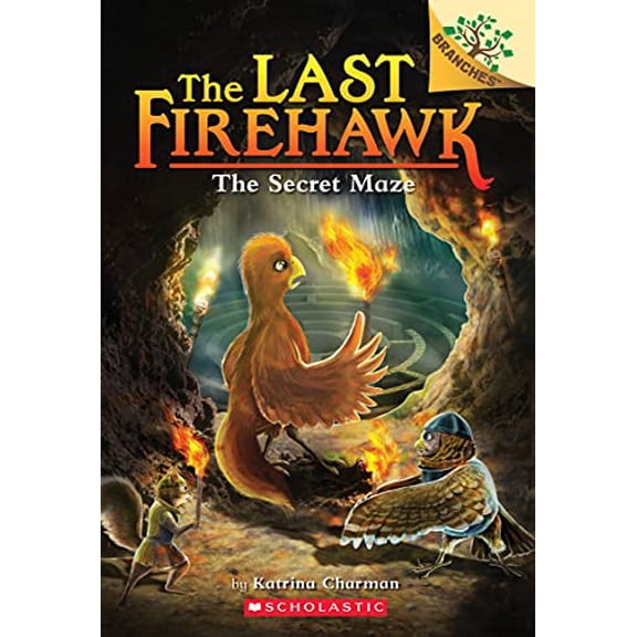 Pre-Owned The Secret Maze: A Branches Book (the Last Firehawk #10): Volume 10 (Paperback) 1338565370 9781338565379