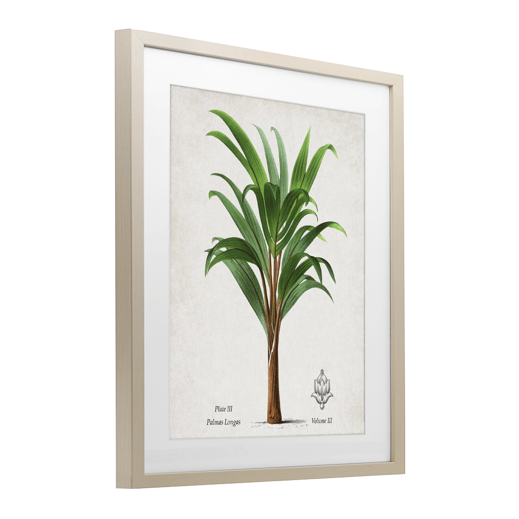 Stupell Industries Palmas Longas Palm Tree Birch Framed Print Under Glass, design by Val Rhodes