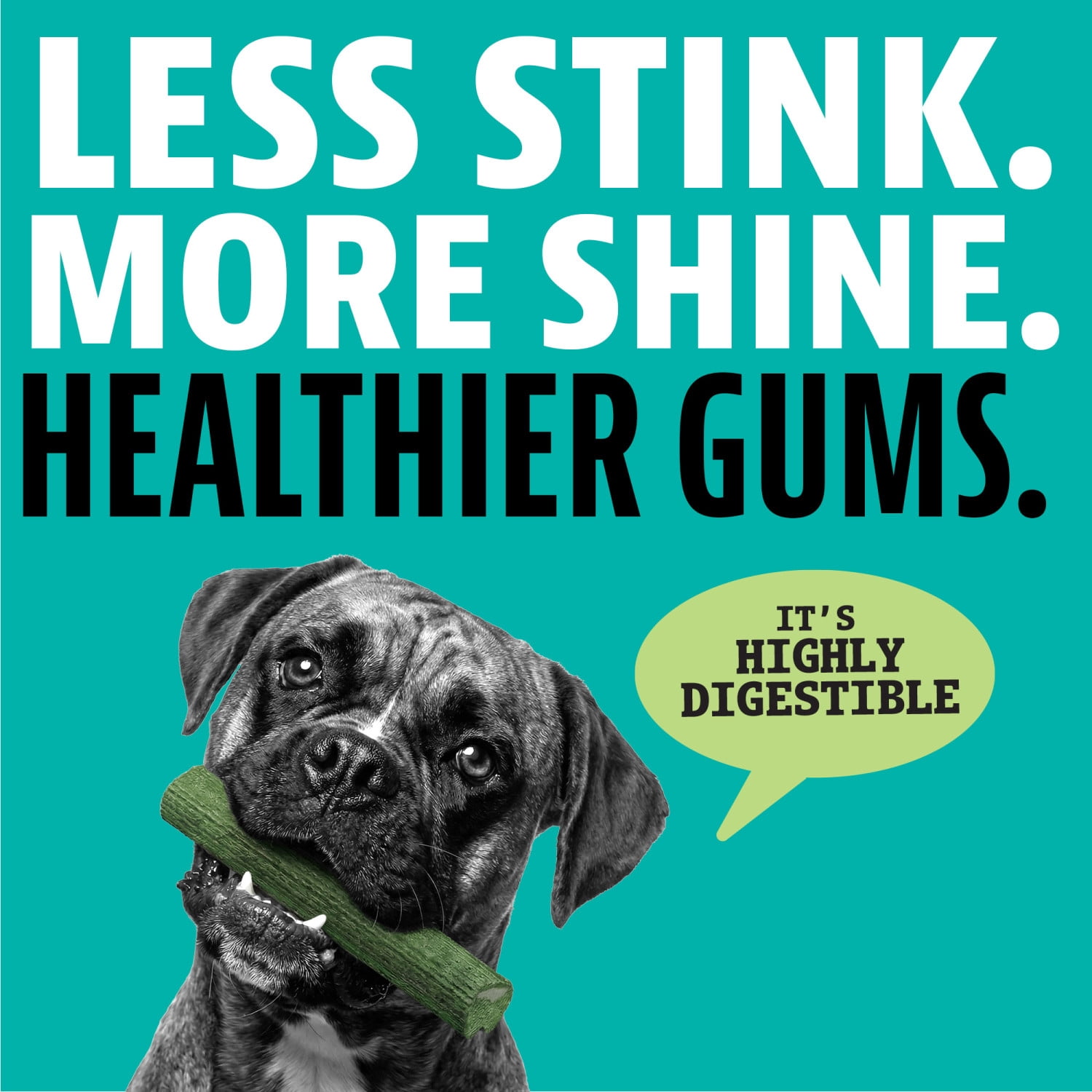 Dinovite Dental Chews for Medium Dogs - 5 Count