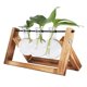 thumbnail image 3 of Soporte de madera Deco con jarrón de vidrio hidropónico, jarrón colgante, jarrón de flores, jarrón de mesa, jarrón decorativo, 3 of 4