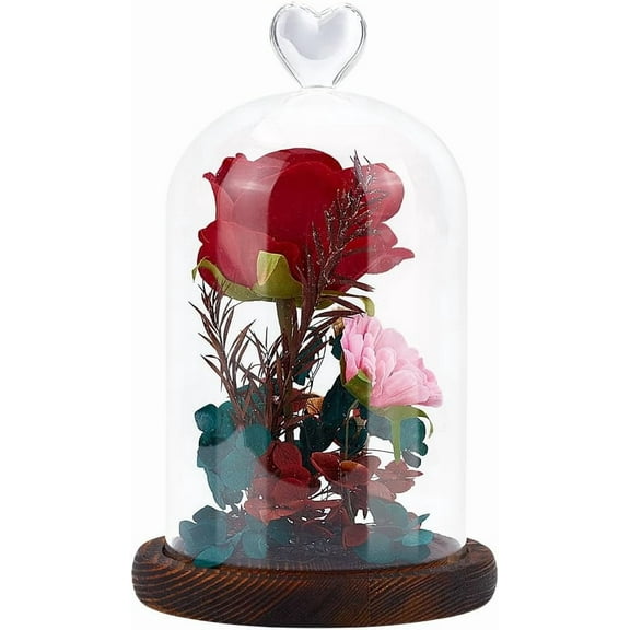 Large Glass Cloche Display Dome 4.8x7.8 inch Heart Handle Bell Jar Clear Glass Round Shape Display Case for Flowers Plants Party Decor Clear