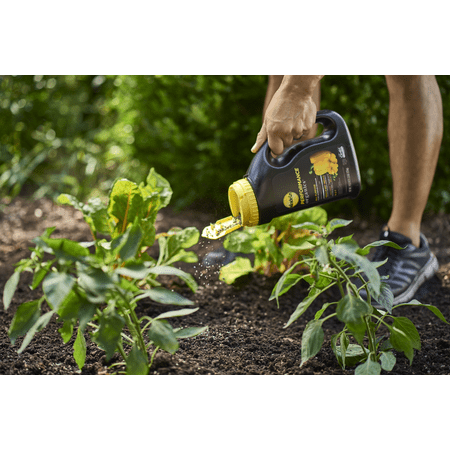 Miracle-Gro Performance Organics All Purpose Plant Nutrition Granules 2.5 lb. - Black