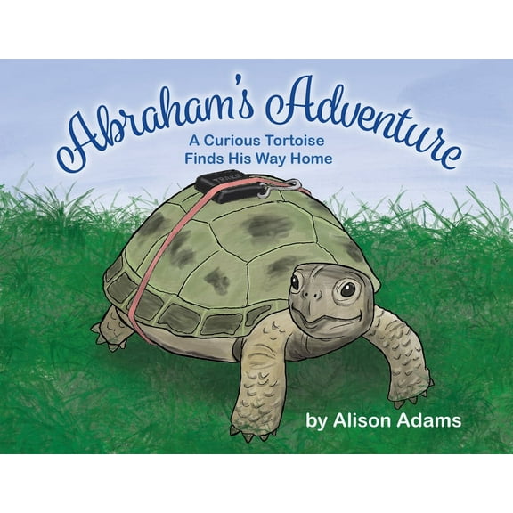 Abraham's Adventure (Paperback)
