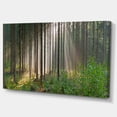 thumbnail image 2 of Green Forest in Mist Panorama - Landscape Canvas Art Print, 2 of 4