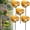 *B, variant on Unique Animal Watering Stations, Decorative Frog Bird Bath Bowl for Outside, Bee Watering Station, Flower Garden Stakes Bird Bath for Patio Lawn Backyard Butterfly Pollinator Yard Decor(*B,1pc)