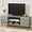 Light Gray, variant on Modern TV Stand for 65" Television, Entertainment Center with Two Storage Cabinets, Retro Style Media Console for Living Room, Bedroom, Office, 58 Inch