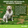 thumbnail image 5 of Pet MD No More Yellow Spots Dog Urine Neutralizer for Lawn - pH-Balancing Helps Prevent Dog Pee from Killing Grass - Enhanced with Digestive Probiotics for Dogs & Puppies - 120 ct, 5 of 7