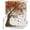 Brown, variant on Tree Fall Shower Curtains for Bathroom, Waterproof Bath Curtains Decor, Bath Tub Curtain Autumn Leaves Branches Watercolor Botanical Elegant Decorative Shower Curtain Sets with 12 Hooks, 72x72 Inch