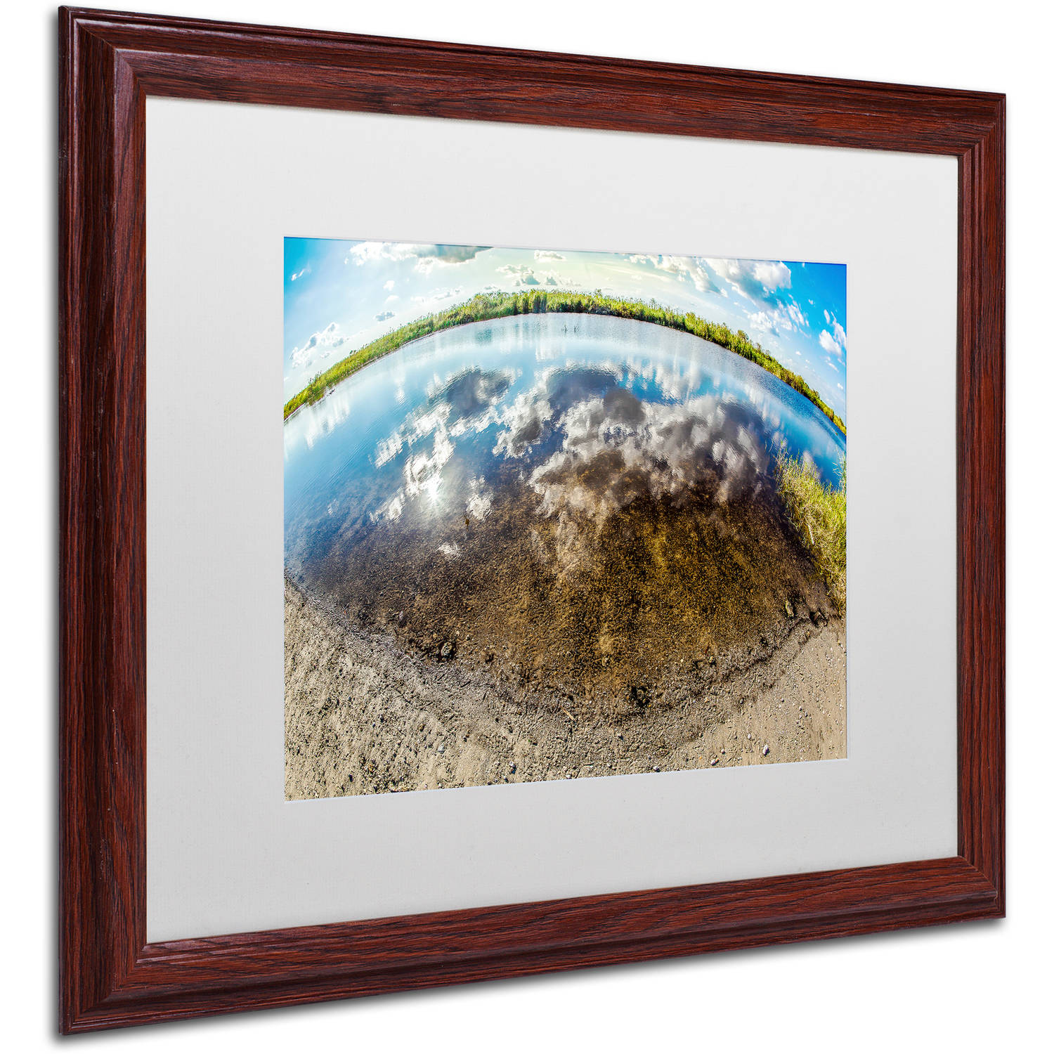Trademark Fine Art "Earth Eyeball" Canvas Art by Yale Gurney, White Matte, Wood Frame