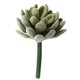 thumbnail image 1 of Plant Pot Unpotted Artificial Succulent Plants Unpotted Succulent Artificial Succulents Unpotted, 1 of 1