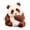 F, variant on Brazilian Wood Plant Set, Brazilian Lucky Wood Plant with Little Panda Statue, Brazilian Wood Hydroponic Plant, Brazilian Lucky Tree, Mini Brazil Wood Plant Decorations for Pots