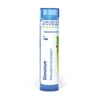 Boiron Glonoinum 6C, Homeopathic Medicine for Sudden Hot Flash And Headache, 80 Pellets