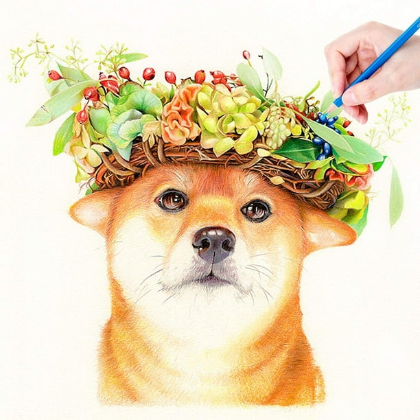 Coloured Pencils Adult, Colouring Pencils For Adults, Coloring Pencils Set,  Sketching Drawing Kit with Portable Roll-Up Pouch Canvas Bag Case