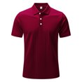thumbnail image 4 of HAOTAGS Mens Polo Shirts Athletic Golf Polo Shirts Lapel Buttoned Casual Classic Fit Soft Breathable Short Sleeve Tops Wine Size M, 4 of 4