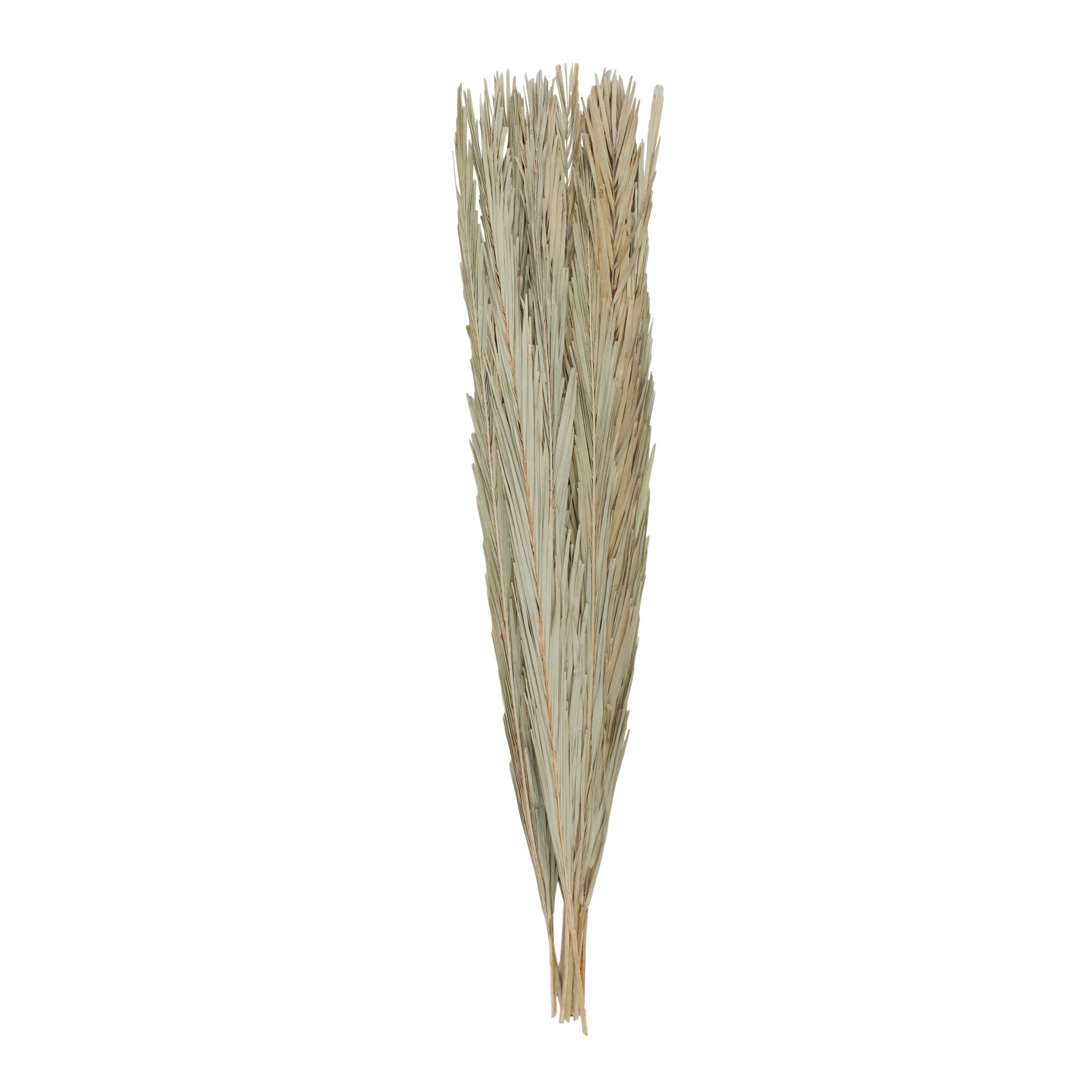 61" Tall Palm Leaf Natural Foliage Bouquet with Grass, by DecMode