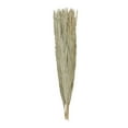 thumbnail image 6 of 61" Tall Palm Leaf Natural Foliage Bouquet with Grass, by DecMode, 6 of 9