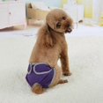 thumbnail image 5 of Super-Absorbent Washable Female Dog Diapers for Comfortable Sanitary Pant, 5 of 5