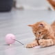 thumbnail image 5 of Juguete Interactivo Inteligente Para Gatos Bola Autogiratoria Led Colorida Con Campana De Hierba Gatera Y Juguetes De Plumas Eigraketly PT001552-02, 5 of 6