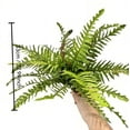 thumbnail image 3 of Simulated Persian Grass Small Persian Leaves Simulated Flowers Fern Leaves Bouquet Simulated Plants Home Decoration, 3 of 8