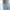 Blue, variant on Gourmia Iced Coffee Maker with 25 fl oz. Reusable Tumbler, Black