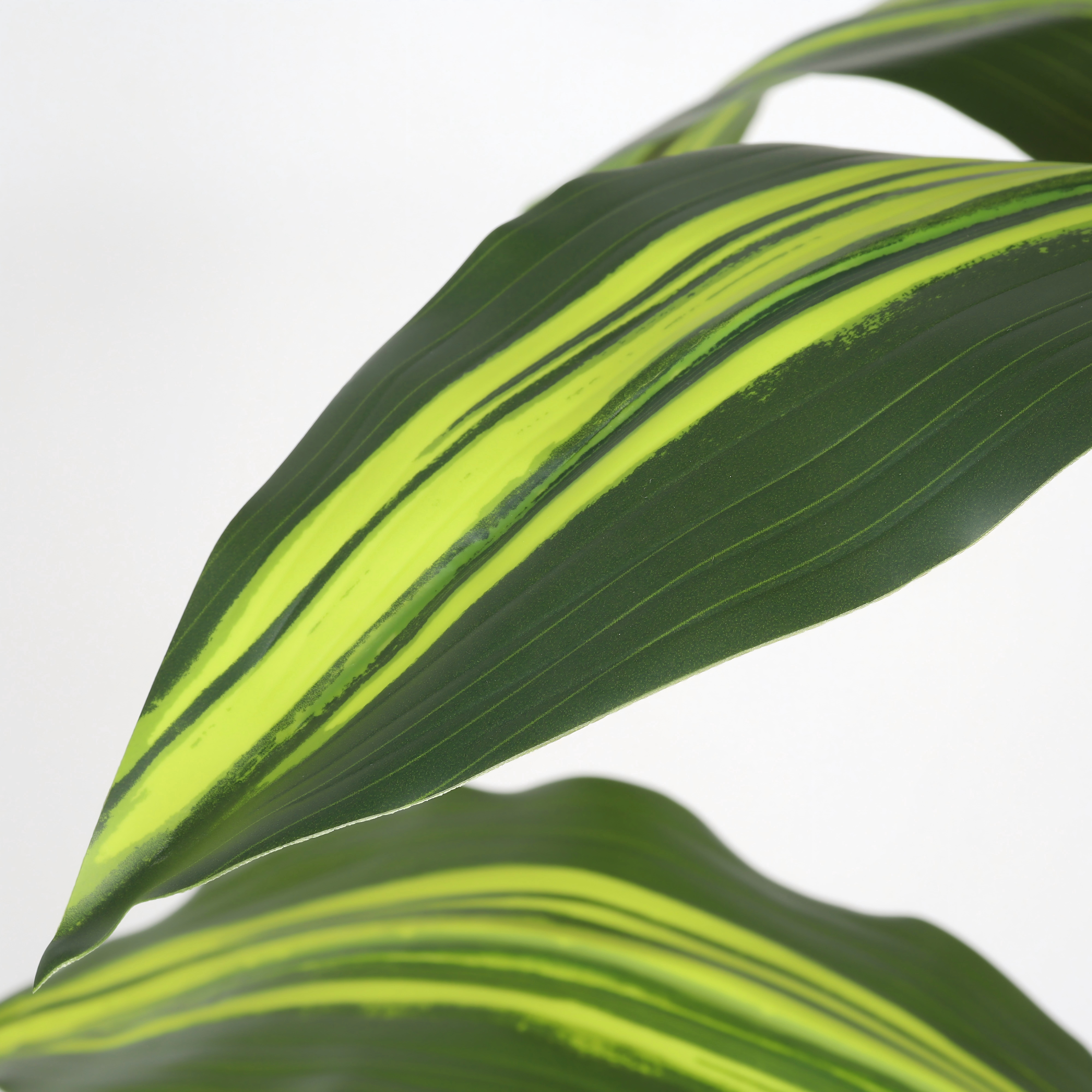 Artificial Plants, 5ft Fake Dracaena Tree in Black Plastic Pot, Faux Plants Indoor Outdoor Decor, Silk Plants for Home Decor Office Porch Patio Perfect Housewarming Gift