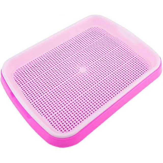 Semences Sprouter Plateau Beans Filtre Multifonction Germination Plateau Sprout Maker Pour Graines Germes (rose)