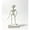 E, variant on Luckky 6 Inch Halloween Dancing Skeleton Aquarium Ornament,Air Driven Bubbler Fish Tank Decor,Funny Humorous Gift for Fish Tank Lovers