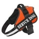 thumbnail image 4 of Arnés para perros con nombre personalizado, arnés para perros bulldog francés, perros medianos y grandes, reflectante, ajustable, suministros para mascotas para caminar al aire libre, 4 of 5