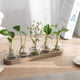 thumbnail image 3 of Estación de Propagación Jarrones de Vidrio Decoración: Terrario de 5 Plantas con Bandeja de Madera Lavada en para Sala de Estar Oficina, 3 of 5