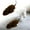 D, variant on KMWGRE Interactive Running Toy with Twirling Tail for Cats and Dogs Pet D 16cm
