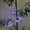 White 1, variant on Guoxxzi Solar Outdoor Lights, Solar Energy Lamp, Courtyard Lamp, Balcony Atmosphere Lamp Floral Sway Light Solar Light,Solar Sway Lights, Sway With The Wind, A