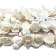 12x16mm - 13x20mm White Fancy Coin Pearls Genuine Gemstone Natural Jewelry Making
