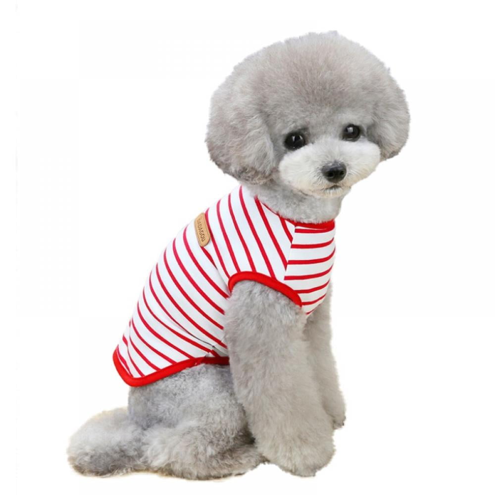 What Size Clothes Do Toy Poodles Wear