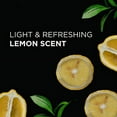 thumbnail image 3 of 9 Elements Liquid Laundry Detergent, Lemon Scent, 46 Ounce, 2 Count, 3 of 9