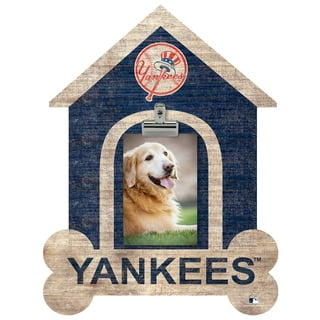 Yankee Dog